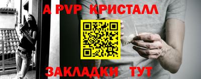 крисы Можга