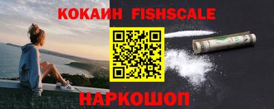 крисы Можга