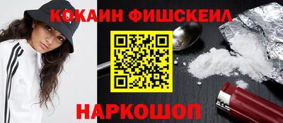 крисы Можга