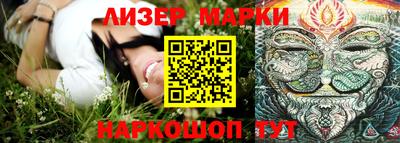 крисы Можга
