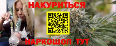 крисы Можга