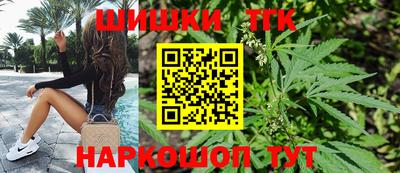индика Можайск