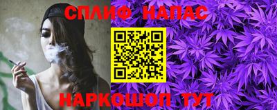 крисы Можга
