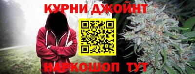 крисы Можга