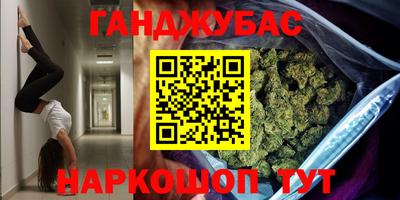 крисы Можга
