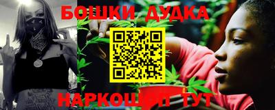 крисы Можга