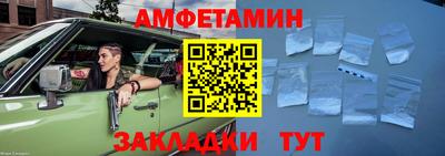 крисы Можга