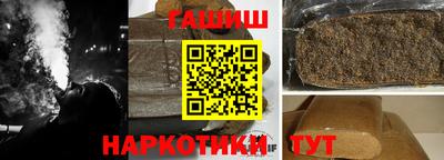 крисы Можга