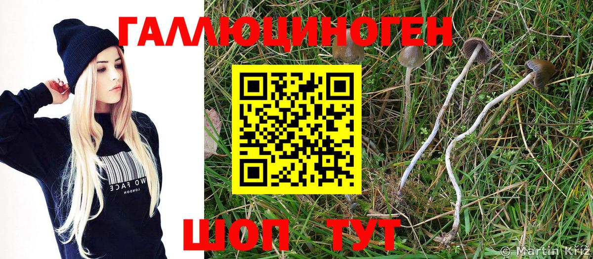Фурманов  Галлюциногенные грибы Psilocybe  Псилоцибиновые грибы мухоморы  купить  сайты  Вход с VPN 