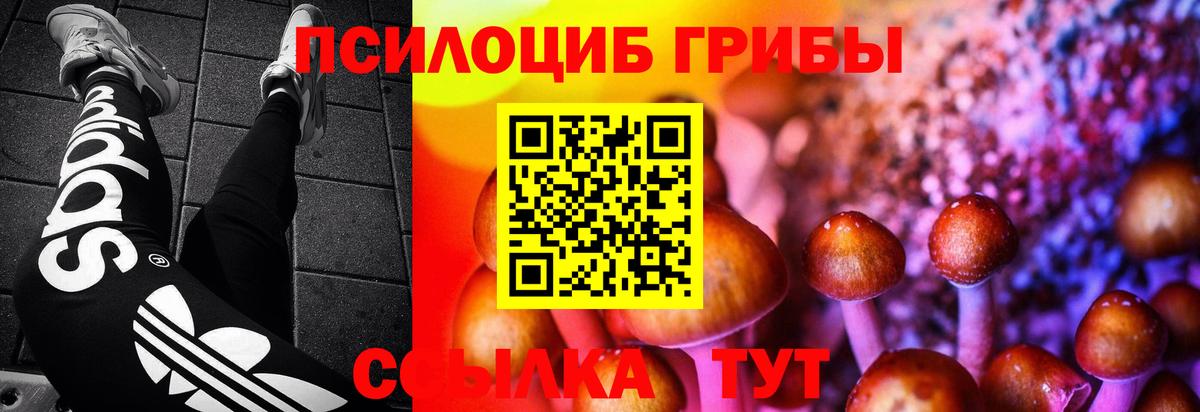 Галлюциногенные грибы MAGIC MUSHROOMS Фурманов